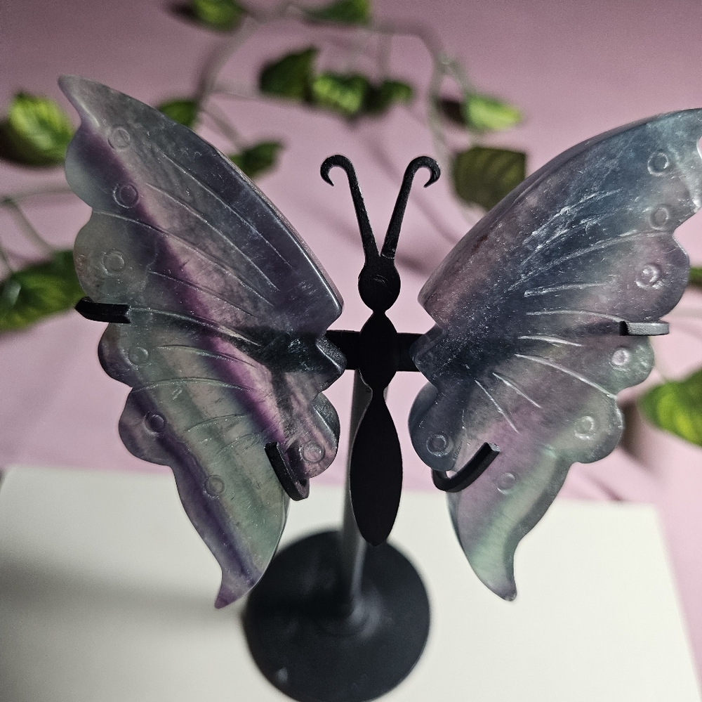 Rainbow Fluorite Butterfly Wings With Stand - Picture 3 of 4